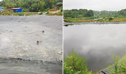 trường hợp công ty mới nhất về Dự án chống rò rỉ ao cá