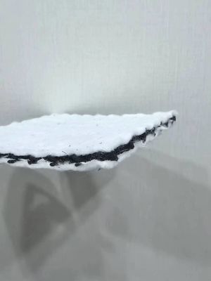 3D thoát nước Geogrid lưới với lọc hoàn chỉnh và bảo vệ