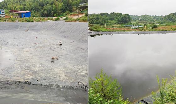 Màng địa kỹ thuật HDPE trơn hiệu suất cao với độ giãn dài khi đứt 700%, khả năng chống hóa chất tuyệt vời và chiều rộng tùy chỉnh cho nuôi trồng thủy sản
