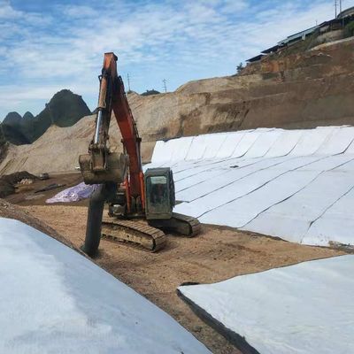 Màng chống thấm đất sét bentonite natri trương nở cao đục lỗ: Lớp lót địa kỹ thuật đất sét tiết kiệm chi phí để chống thấm