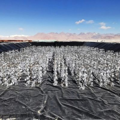 Chống axit và kiềm, chống nước mắt HDPE Geomembrane mịn cho dự án kỹ thuật chống rò rỉ