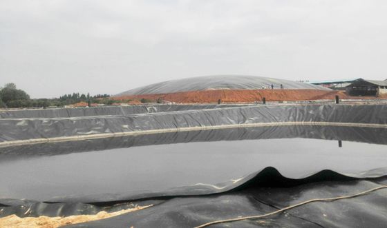 Đường viền mặt bằng HDPE chống rò rỉ Đối với dự án nông nghiệp Lớp lót ao cá Chiều rộng 1m-9m Chiều dài 30-100m Độ dày> 0.5mm