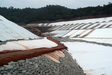 Geonet tổng hợp ba chiều 200g/m2