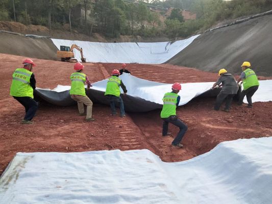 TerraDrain HD 3D Drainage Net: Chống hóa học và tuổi thọ không có đối thủ