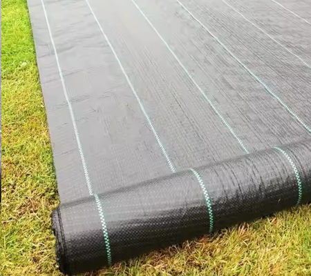 lọc và thoát nước tuyệt vời Đen polypropylene vải địa dệt chiều rộng 2-6m Được làm từ sợi tổng hợp công nghiệp mạnh