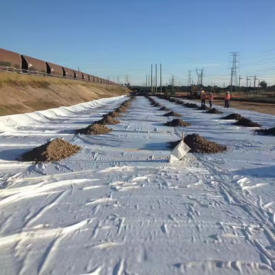 Vải bảo vệ củng cố bền với vải dệt địa chất vải đen