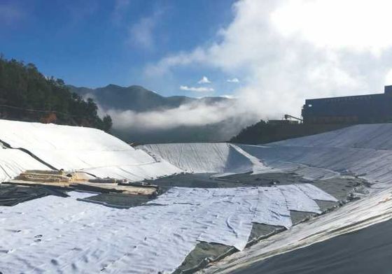 Các phân tách đáng tin cậy & Filtration Lớp sợi chính Geotextile