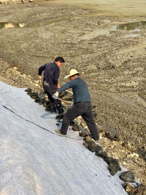 Cây bọc bằng xi măng (CCB) triển khai.