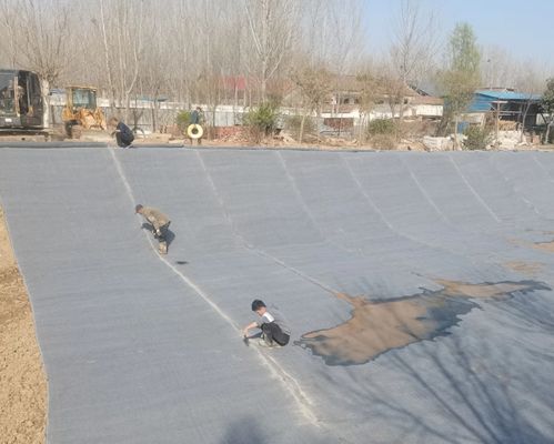 Cây bọc bằng xi măng (CCB) triển khai.