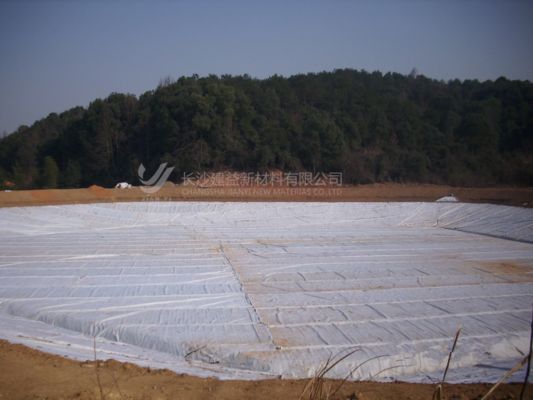 Vải địa kỹ thuật sợi ngắn: Giải pháp kỹ thuật hiệu quả về chi phí & đa năng